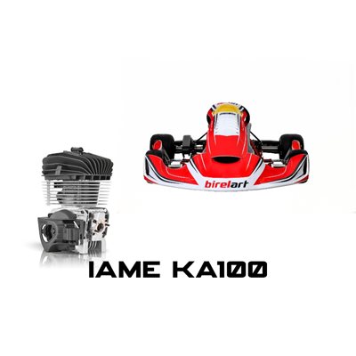 RY30 BIREL / ART COMPLETE KART IAME KA-100 JR