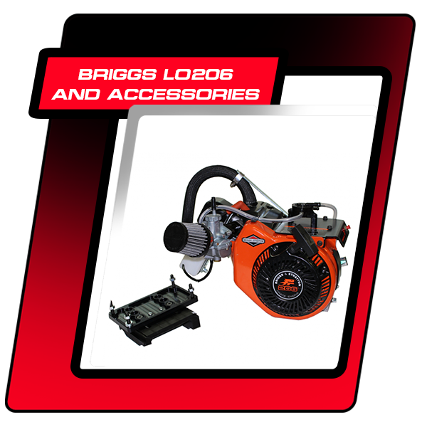 Briggs LO206