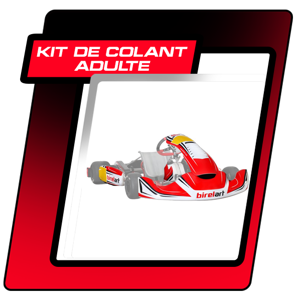 Sticker Kit for Full Size Karts (KZ, DD2, KF, AM29)