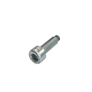 SCREW M6-20 FOR CLIP