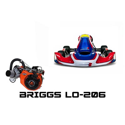 RB-AM29 R. BARRICHELLO COMPLETE KART B / S SR