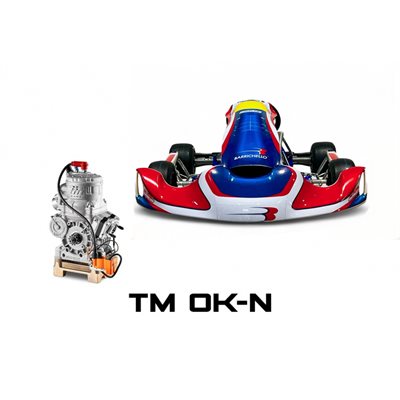 RB-30DD R. BARRICHELLO COMPLETE KART TM OK-N SR