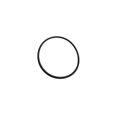 WATER PUMP O-RING BIG (1)
