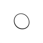 WATER PUMP O-RING BIG (1)