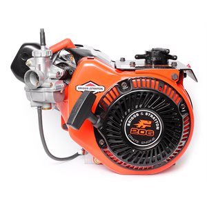 MOTOR LO-206 BRIGGS SR