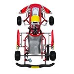 CHASSIS MINI BIREL / ART S-18 2025