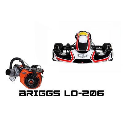 AM-29 C. LECLERC COMPLETE KART B / S JR