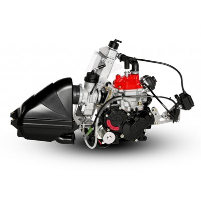 ROTAX MAX エンジン MOTOR ROTAX SR - PSL Karting (Karts, Parts & Accessories)