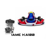 RB-30DD R. BARRICHELLO COMPLETE KART IAME KA-100 SR