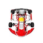 CRY30 BIREL / ART COMPLETE KART TM KZ