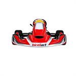 CRY30 BIREL / ART COMPLETE KART TM KZ