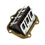 REED BLOCK COMPLETE NEW