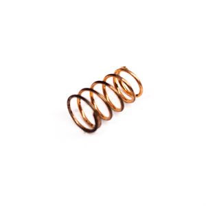 THERMOSTAT SPRING
