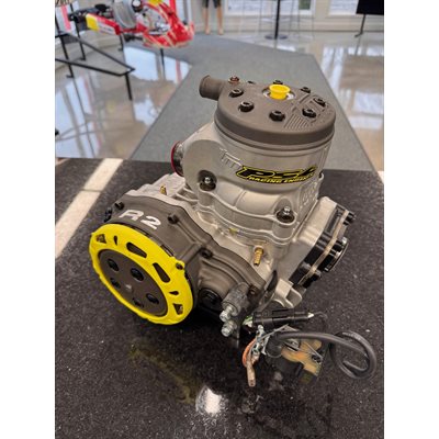 VEGAS SPECIAL TM KZ R2 ENGINE USED (pre-order)