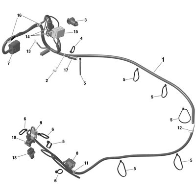 HARNESS 2021