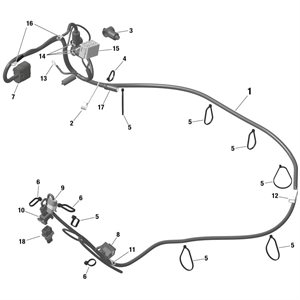 HARNESS 2021