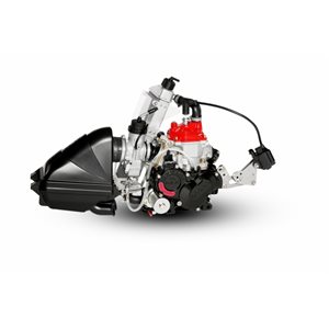 Moteur rotax mini