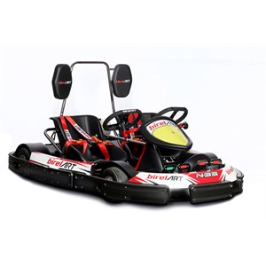 RENTAL KART N-35 TWIN - GX-270