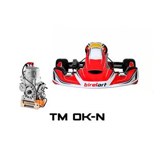 RY30 BIREL / ART COMPLETE KART TM OK-N JR