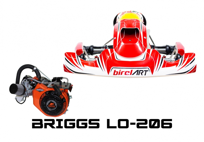 2023 AM29-S15 with Briggs LO-206