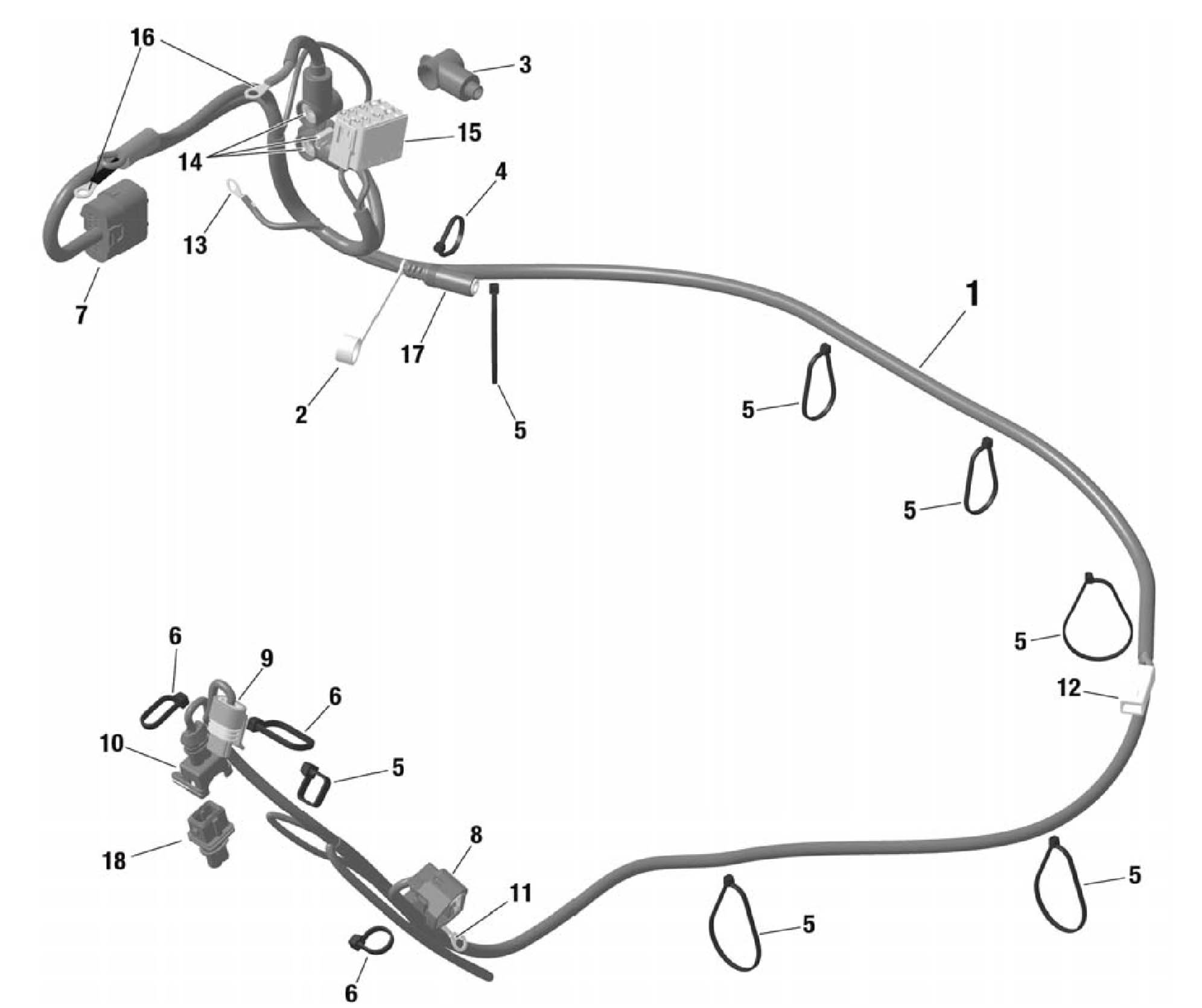 Wiring harness